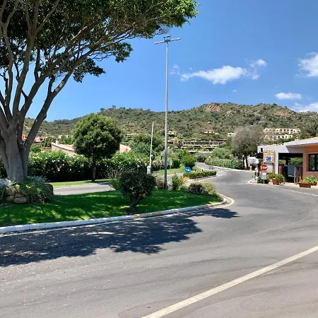 Zippiri Is Molas Pula