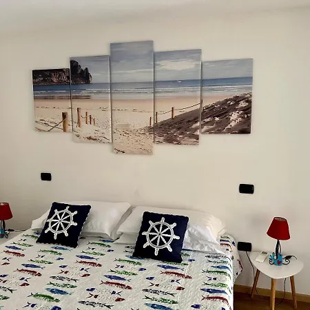 Zippiri Is Molas * Pula