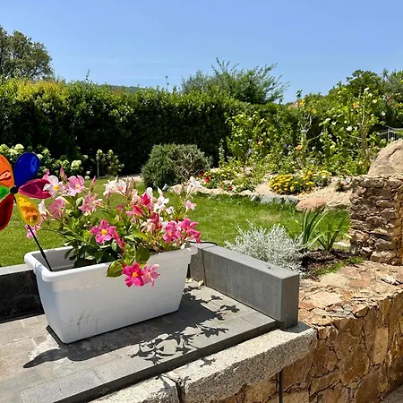 Semesterbostad Zippiri Is Molas